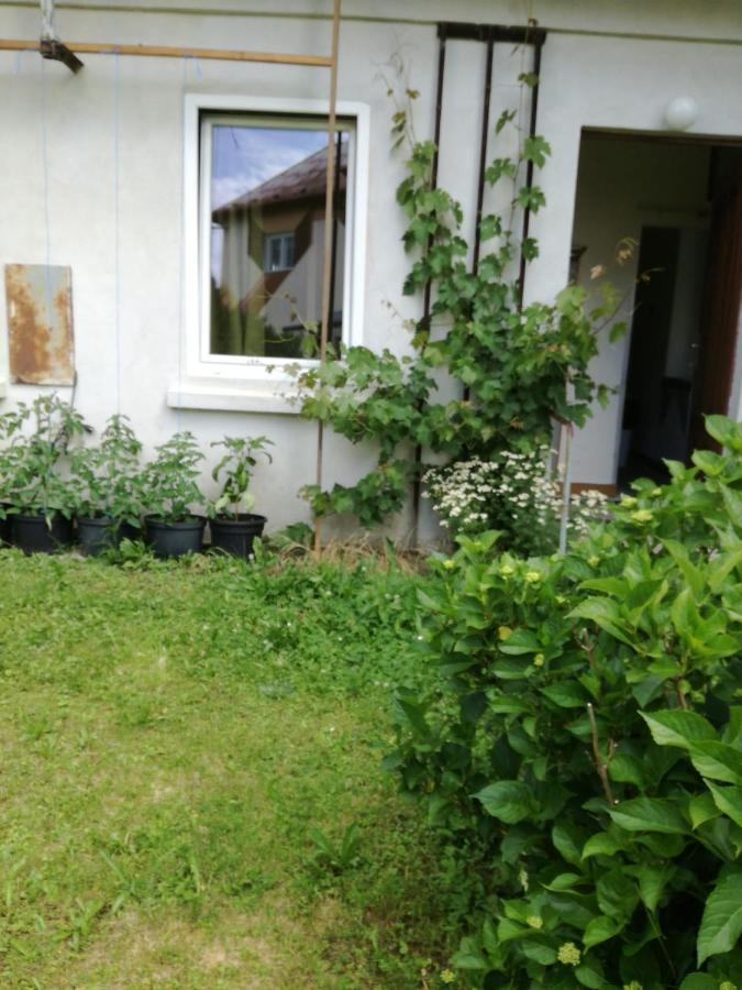 Kemp A Stanovani Na Fare Javornik  Bagian luar foto